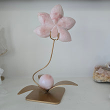Load image into Gallery viewer, Pink Opal Orchid
