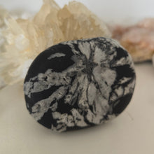 Load image into Gallery viewer, Chrysanthemum Stone Palmstone
