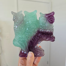 Load image into Gallery viewer, Rainbow Fluorite Owls

