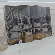 Load image into Gallery viewer, Picture Jasper Book
