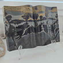 Load image into Gallery viewer, Picture Jasper Book

