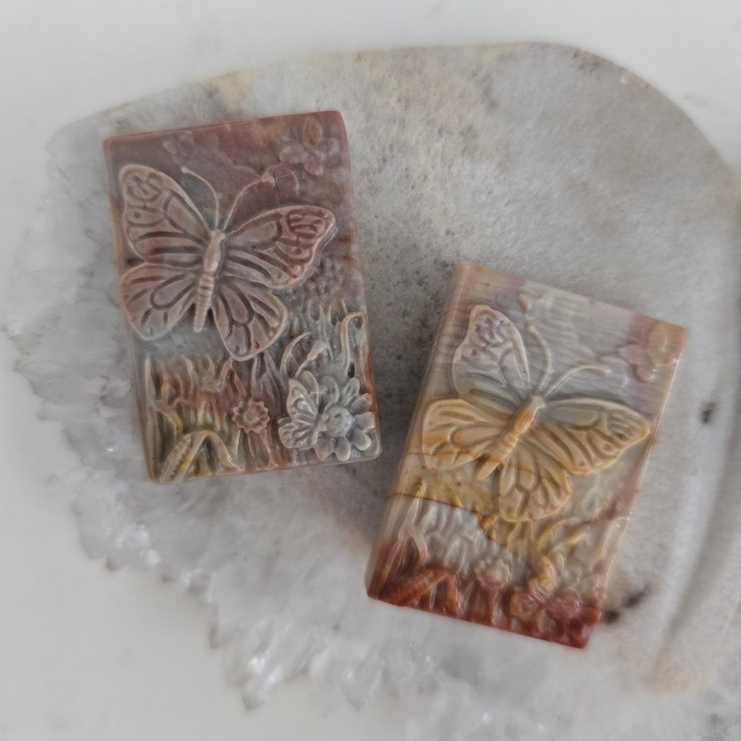 Alashan Agate Field Butterfly
