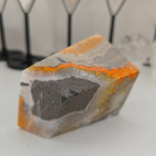 Load image into Gallery viewer, Bumblebee Jasper Freeform

