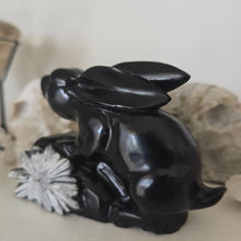 Load image into Gallery viewer, Chrysanthemum Stone Rabbit
