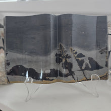 Load image into Gallery viewer, Picture Jasper Book

