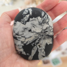 Load image into Gallery viewer, Chrysanthemum Stone Palmstone
