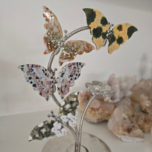 Load image into Gallery viewer, Ocean Jasper Butterfly Set
