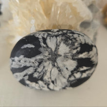 Load image into Gallery viewer, Chrysanthemum Stone Palmstone
