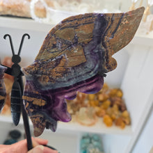 Load image into Gallery viewer, Fluorite Butterfly Wings
