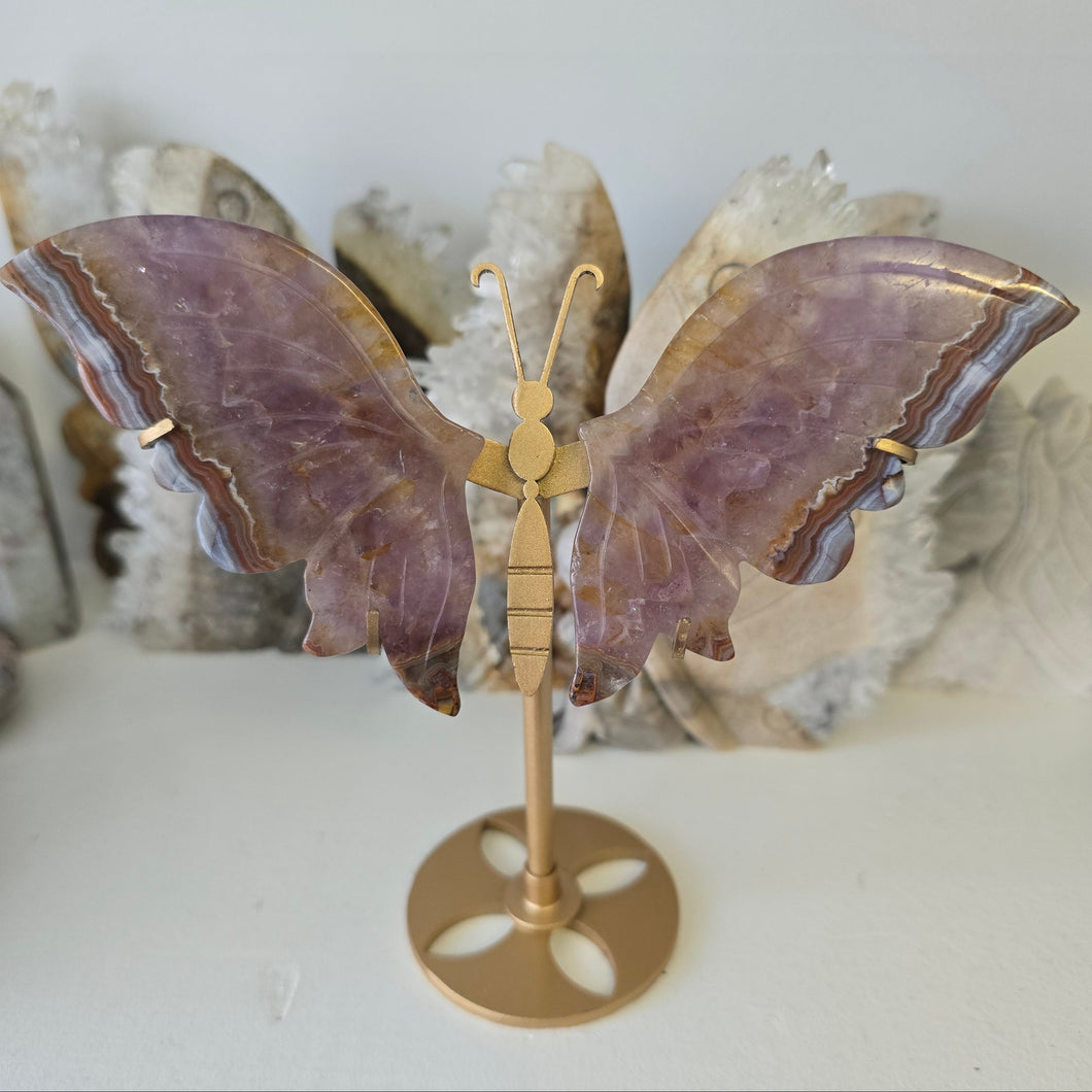 Amethyst Crazy Lace Agate Butterfly Wings