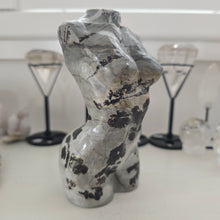 Load image into Gallery viewer, Picture Jasper Goddess Body

