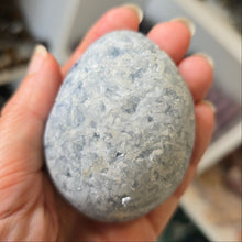 Load image into Gallery viewer, Celestite Cluster Egg
