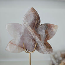 Load image into Gallery viewer, Amethyst Crazy Lace Agate Orchid

