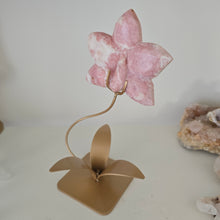 Load image into Gallery viewer, Pink Opal Orchid
