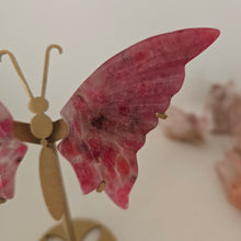 Load image into Gallery viewer, Rhodonite in Quartz Butterfly Wings
