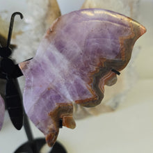 Load image into Gallery viewer, Amethyst Crazy Lace Agate Butterfly Wings
