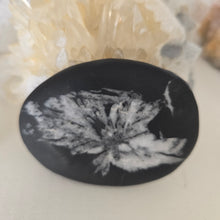 Load image into Gallery viewer, Chrysanthemum Stone Palmstone
