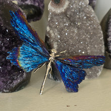 Load image into Gallery viewer, Aura Kyanite Dragonfly - Blue
