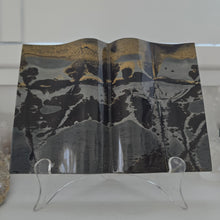 Load image into Gallery viewer, Picture Jasper Book
