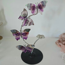 Load image into Gallery viewer, Rainbow Fluorite Butterfly Set
