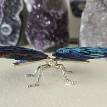 Load image into Gallery viewer, Aura Kyanite Dragonfly - Blue
