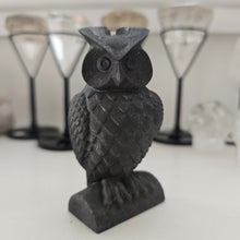 Load image into Gallery viewer, Shungite Owl
