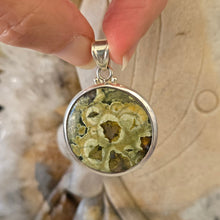 Load image into Gallery viewer, Australian Rainforest Jasper Sterling Silver Pendant
