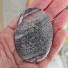 Load image into Gallery viewer, Porcelain Jasper Palmstone
