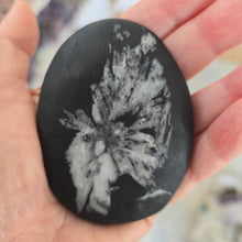 Load image into Gallery viewer, Chrysanthemum Stone Palmstone
