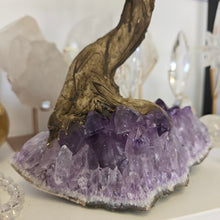 Load image into Gallery viewer, Green Quartz Bonsai Tree on Amethyst Cluster
