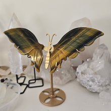 Load image into Gallery viewer, Tiger Eye Butterfly with Stand
