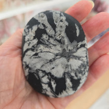 Load image into Gallery viewer, Chrysanthemum Stone Palmstone
