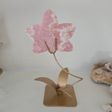 Load image into Gallery viewer, Pink Opal Orchid
