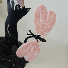 Load image into Gallery viewer, Playful Cat - Butterfly and Dragonfly
