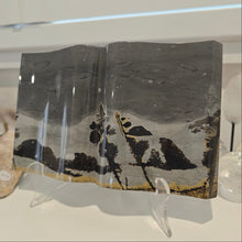 Load image into Gallery viewer, Picture Jasper Book
