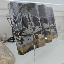 Load image into Gallery viewer, Picture Jasper Book
