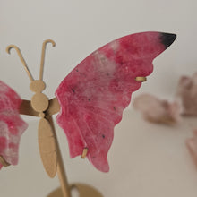 Load image into Gallery viewer, Rhodonite in Quartz Butterfly Wings

