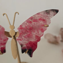 Load image into Gallery viewer, Rhodonite in Quartz Butterfly Wings
