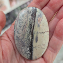 Load image into Gallery viewer, Porcelain Jasper Palmstone
