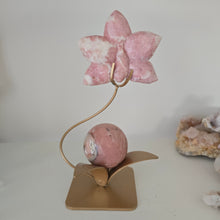 Load image into Gallery viewer, Pink Opal Orchid
