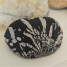 Load image into Gallery viewer, Chrysanthemum Stone Palmstone
