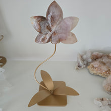 Load image into Gallery viewer, Amethyst Crazy Lace Agate Orchid
