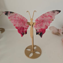 Load image into Gallery viewer, Rhodonite in Quartz Butterfly Wings
