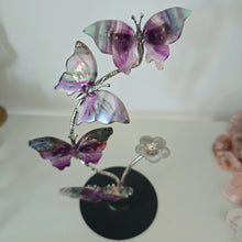 Load image into Gallery viewer, Rainbow Fluorite Butterfly Set
