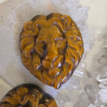 Load image into Gallery viewer, Tiger&#39;s Eye Lion Heads

