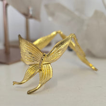 Load image into Gallery viewer, Butterfly Sphere Stand -- Medium
