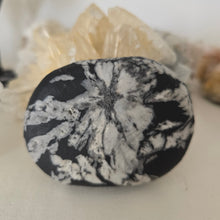 Load image into Gallery viewer, Chrysanthemum Stone Palmstone
