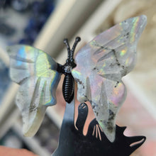 Load image into Gallery viewer, Playful Cat - 2 Butterflies
