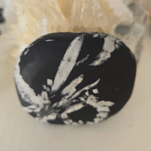 Load image into Gallery viewer, Chrysanthemum Stone Palmstone
