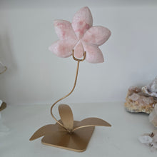 Load image into Gallery viewer, Pink Opal Orchid

